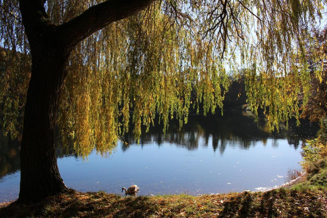 Ferienwohnungen Eifelstuben Mit Charme - Am See, Nahe Burg Ulmen Екстер'єр фото