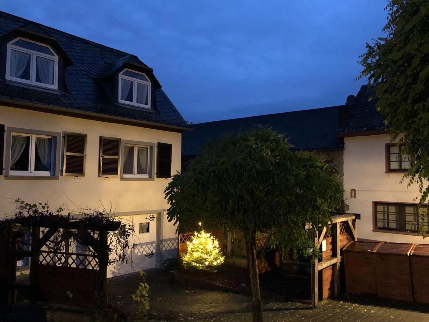 Ferienwohnungen Eifelstuben Mit Charme - Am See, Nahe Burg Ulmen Екстер'єр фото