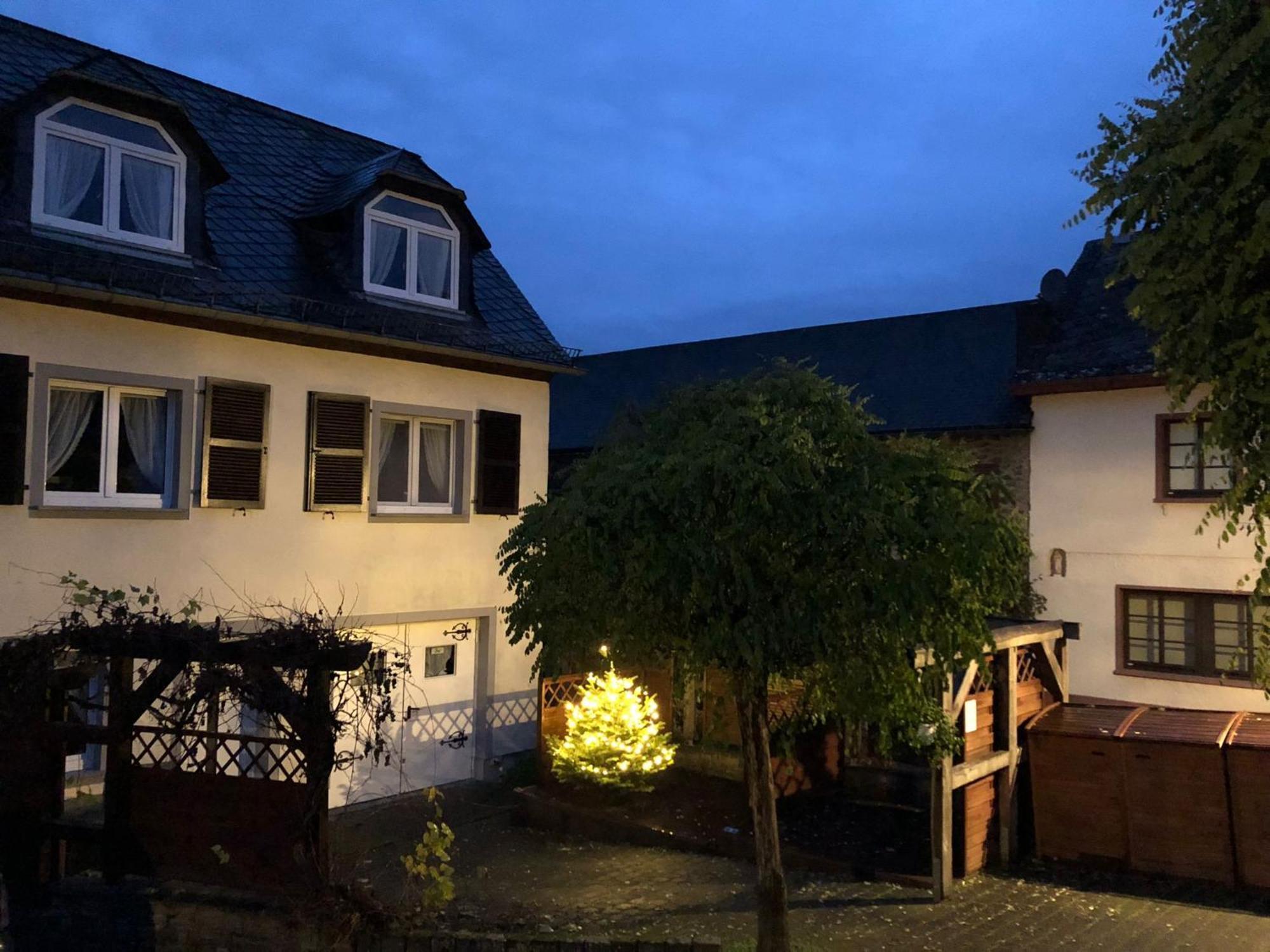 Ferienwohnungen Eifelstuben Mit Charme - Am See, Nahe Burg Ulmen Екстер'єр фото